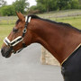 Supreme Products Royal Occasion Headcollar in Black - side