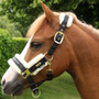 Supreme Products Royal Occasion Headcollar in Black - side