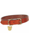 Digby & Fox Flat Leather Dog Collar - Tan