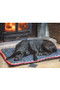 Digby & Fox Waterproof Dog Bed - Dog House Lifestyle