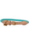 Digby & Fox Reflective Dog Collar - Teal