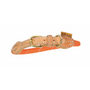 Digby & Fox Reflective Dog Collar - Orange