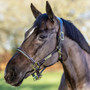 LeMieux Rope Control Headcollar - Brown - lifestyle