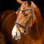 LeMieux Arika Dressage Bridle - Brown - Lifestyle