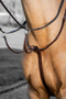 LeMieux Arika Running Martingale - Brown/Silver