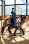 LeMieux Crystal Suede Dressage Saddle Pad - Black - Lifestyle