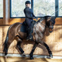 LeMieux Crystal Suede Dressage Saddle Pad - Black - Lifestyle