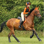 Hy Sport Active Fly Veil in Terracotta Orange