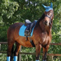 Hy Sport Active Fly Veil in Aegean Green