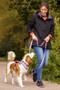 Halti Double Ended Dog Lead in Purple - Lifestyle