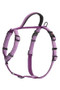 Halti Walking Harness in Purple