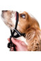 Halti Optifit Dog Headcollar in Black - side