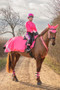 HyVIZ Reflector Horse Leg Wraps in Pink - lifestyle collection