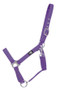 Hy Equestrian Economy Plus Headcollar in Purple