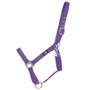 Hy Equestrian Economy Plus Headcollar in Purple