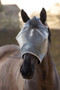 LeMieux Armour Shield Pro Standard Fly Mask in Grey- Lifestyle