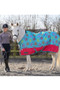 StormX Original Thelwell Collection 50g Turnout Rug in Aquarius/Rouge Pink/Teal - full body