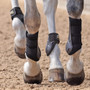 ARMA OXI-ZONE Fetlock Boots - Black