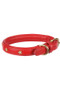 Digby & Fox Star Dog Collar - Red