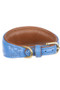 Digby & Fox Padded Greyhound Collar - Royal