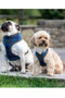 Digby & Fox Tweed Dog Harness - Navy Tweed