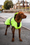 Danish Design Ultimate 2-In-1 Hi Vis Dog Coat in Yellow