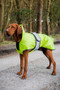 Danish Design Ultimate 2-In-1 Hi Vis Dog Coat in Yellow