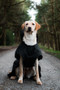 Danish Design Ultimate 2-In-1 Dog Coat in Black