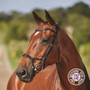 Collegiate ComfiTec Training Bridle