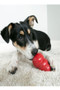 KONG Classic Dog Toy in Red