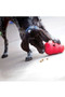 KONG Wobbler Dog Toy in Red - Lifestyle