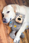 KONG Wild Knots Bear Dog Toy - lifestyle