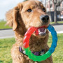 KONG Twistz Ring Dog Toy - lifestyle