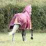 Highlander Plus Combo Turnout Rug 100g - Lifestyle