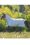 Tempest Plus Sweet-itch Combo Fly Rug