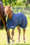 Tempest Original Foal Turnout Rug 200g - Navy - Foal