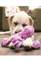 KONG Softseas Octopus Dog Toy