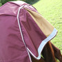 Shires Highlander Plus Turnout Rug 100g - Maroon
