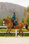 LeMieux Suede Dressage Saddle Pad in Spruce - Lifestyle