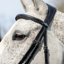 LeMieux Competition Flash Bridle - Close up Brow Band
