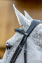 LeMieux Grackle Bridle - Close up of headpiece and browband