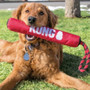 KONG Signature Stick with Rope Dog Toy - lifestyle