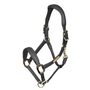 Velociti Rapida Comfort Leather Headcollar - Black