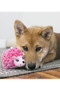 KONG Puppy Comfort HedgeHug Dog Toy - lifestyle