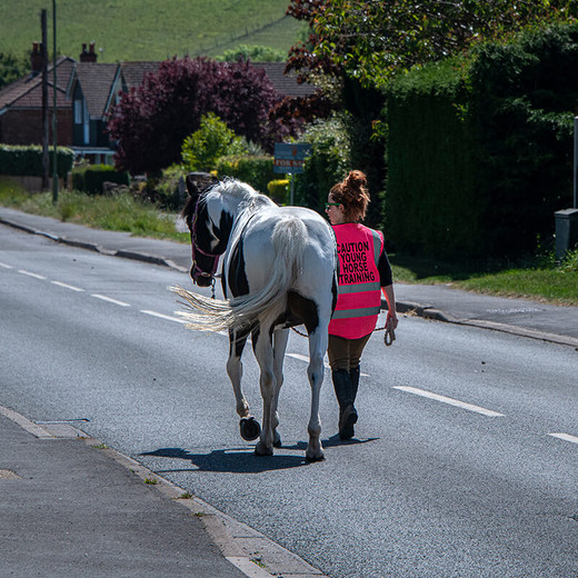 How to be seen when horse riding