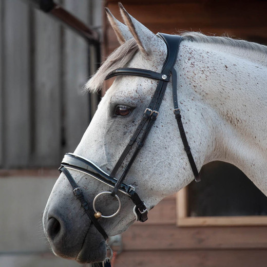 Build a Bridle: Step-by-Step Guide to Designing Your Own Henry James Saddlery Bridle