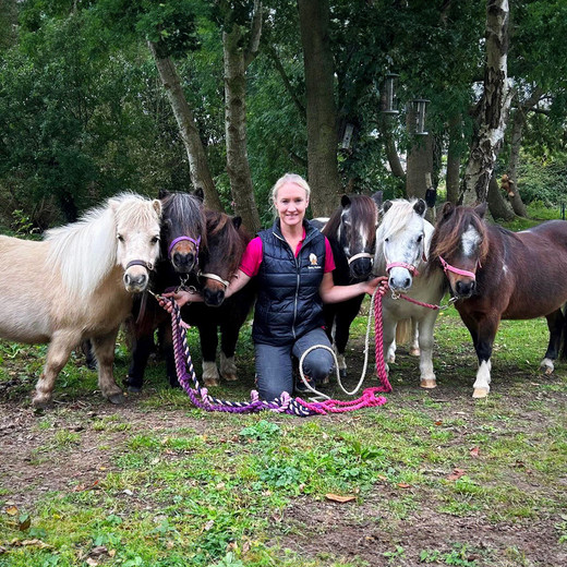 Dinky Ponies: Bringing Joy and Healing Through the Magic of Miniature Horses