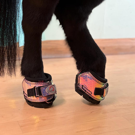 Cavallo Hoof Boots: From Expert Advice to Dinky Adventures