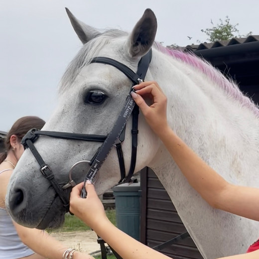 Review of Henry James Saddlery Bridle