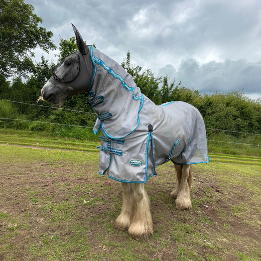 Review of the WeatherBeeta Hexi Shield Fly Rug